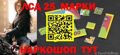 СК Владимир