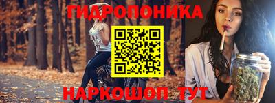СК Владимир