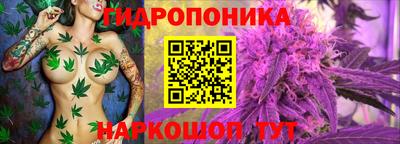 2c-b Владивосток