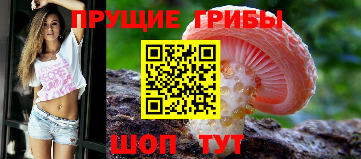 Псилоцибиновые грибы прущие грибы  Вход с VPN  Лянтор 